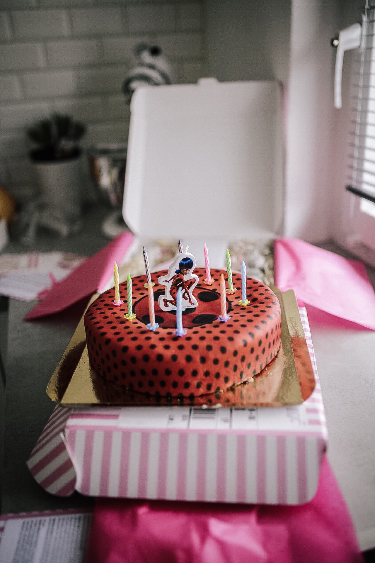 Miraculous – Ladybug – Geburtstagsparty