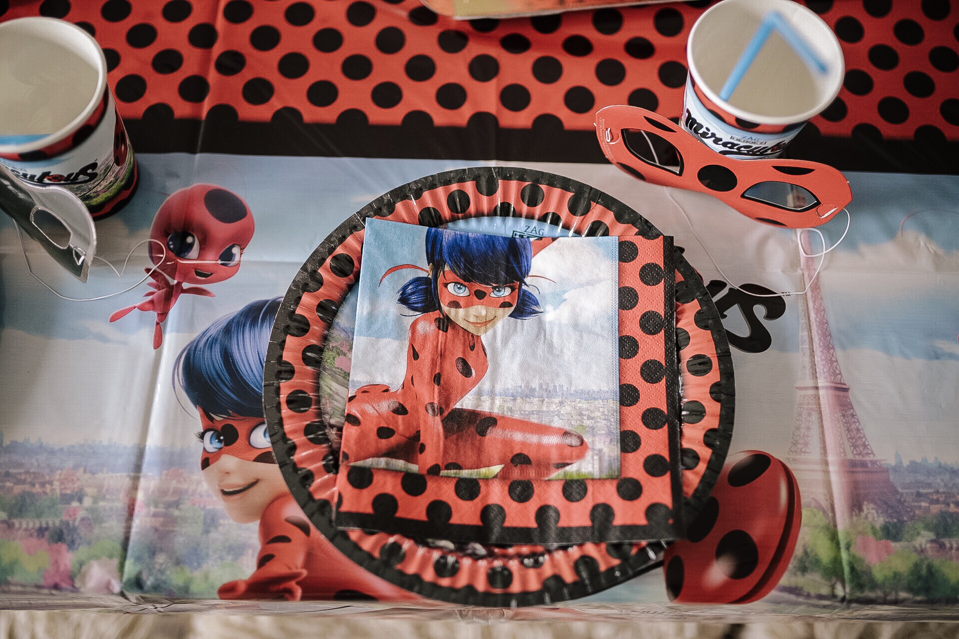 Miraculous – Ladybug – Geburtstagsparty
