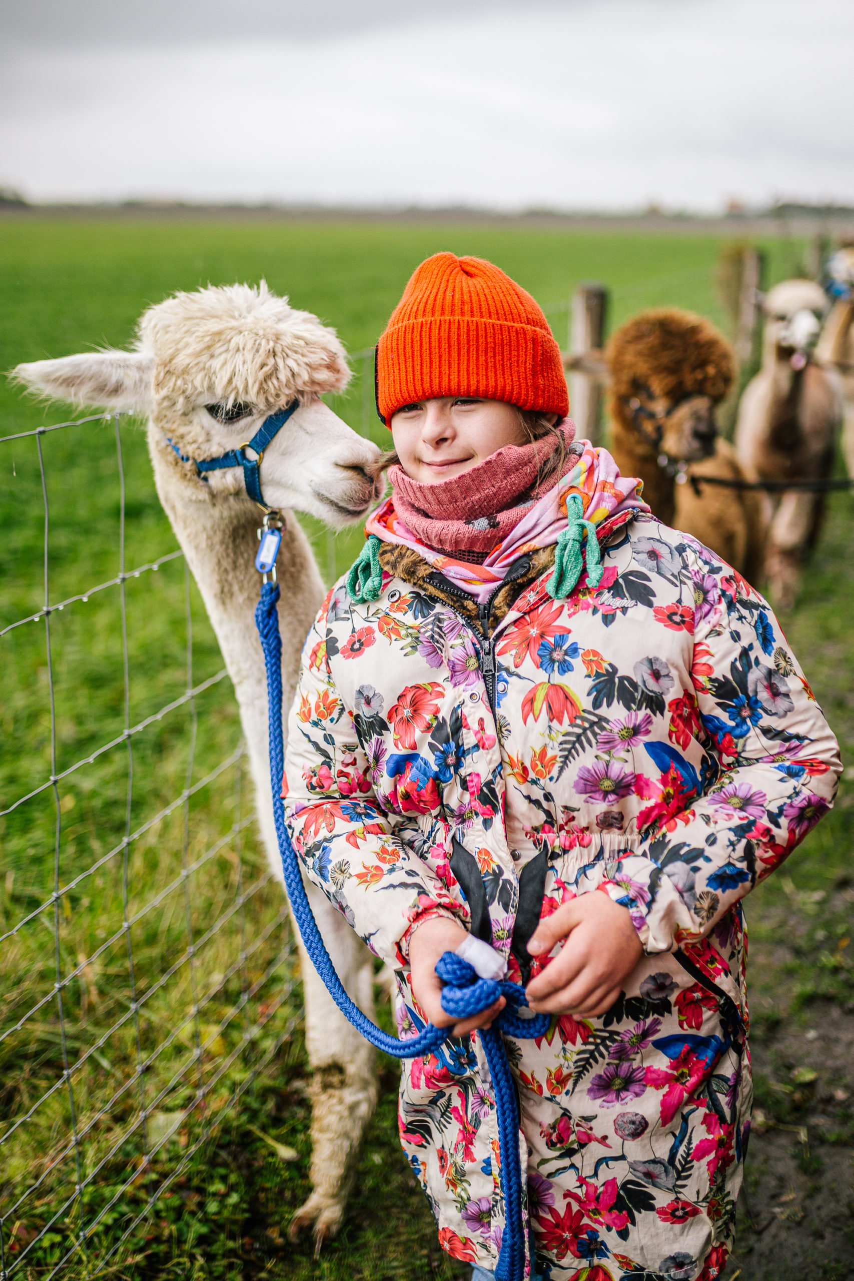 Alpaca & Falabella Ranch Rzadkiewa – Zeeland – Sonea Sonnenschein – Down-Syndrome