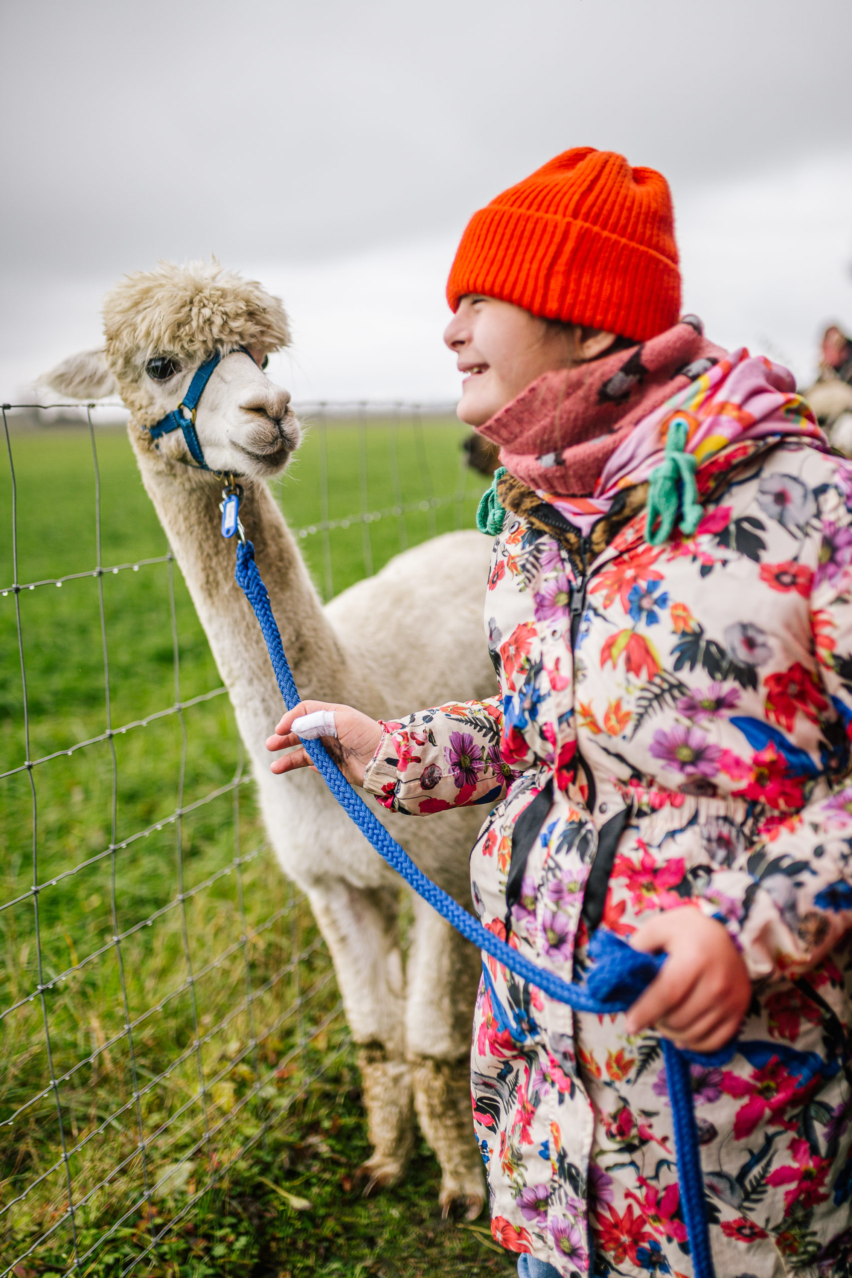 Alpaca & Falabella Ranch Rzadkiewa – Zeeland – Sonea Sonnenschein – Down-Syndrome